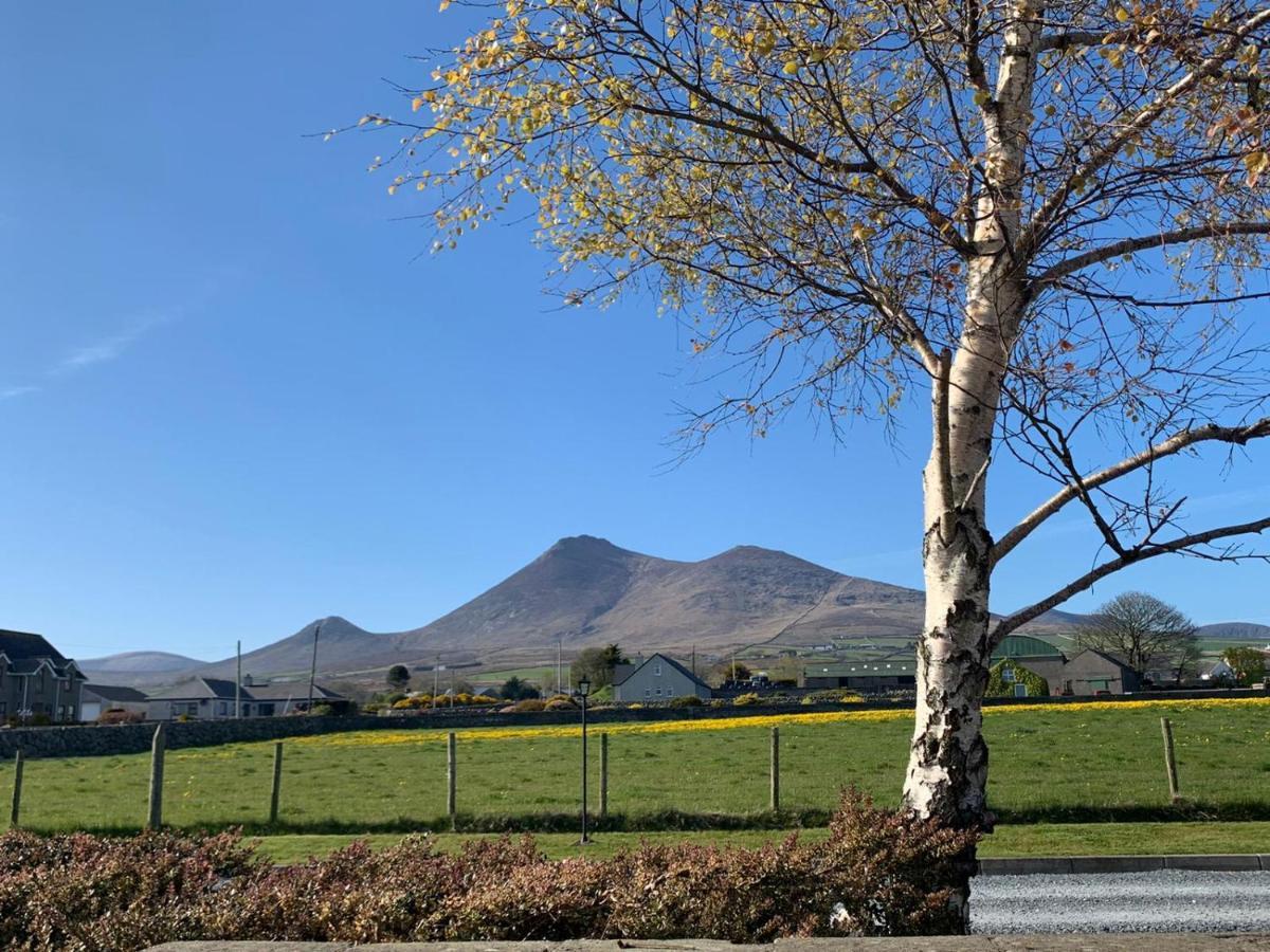 Lovely 2-Bed Cottage At The Foot Of The Mournes Newry Exteriér fotografie