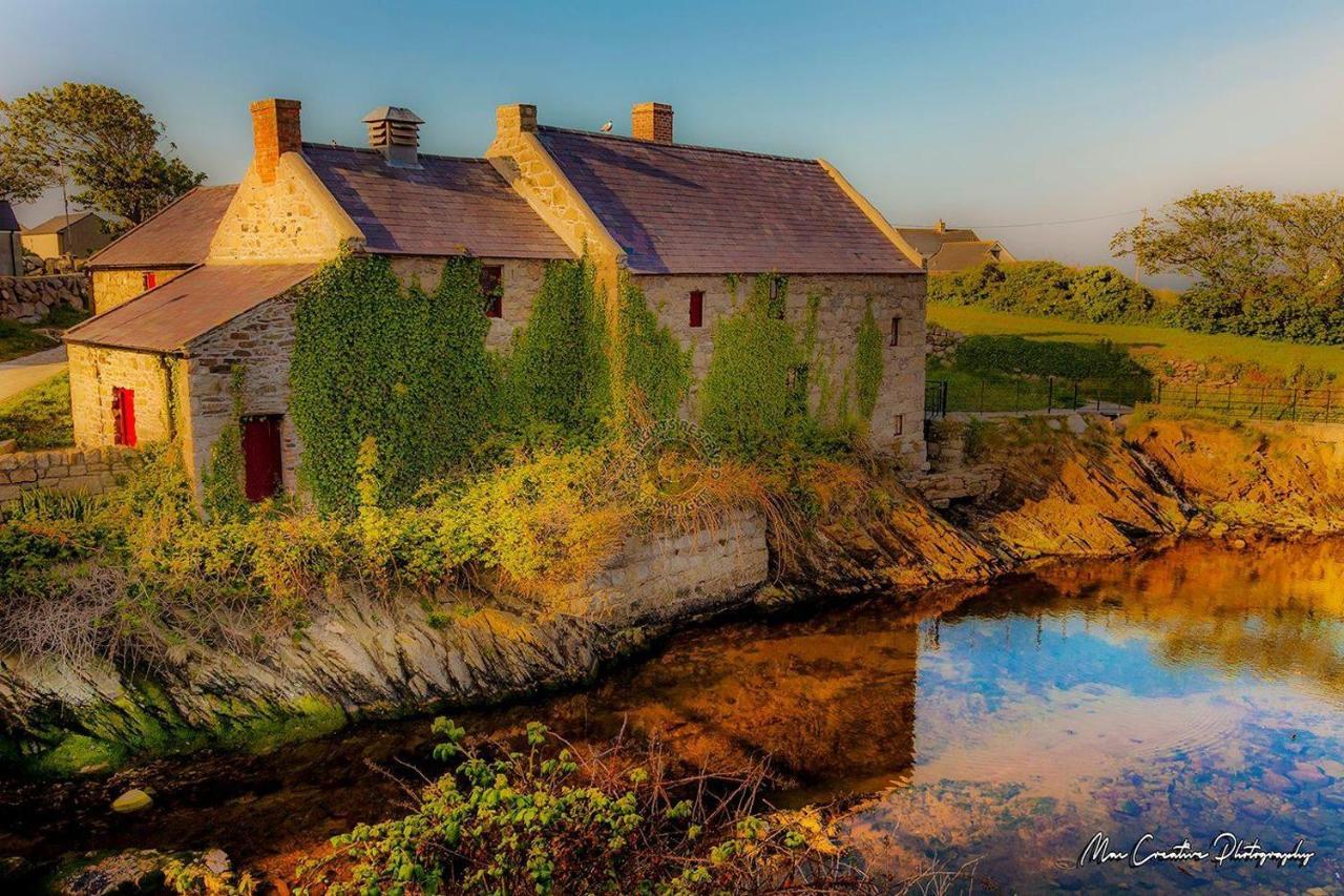 Lovely 2-Bed Cottage At The Foot Of The Mournes Newry Exteriér fotografie